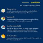 วีว่าบอร์ด 120 x 240 ซม. - Image 2