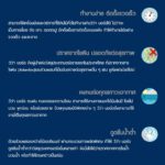 วีว่าบอร์ด 120 x 240 ซม. - Image 3