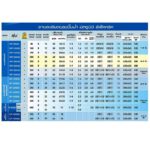 ปั๊มน้ำอัตโนมัติ WP-405QS <br>ปั๊มน้ำ MITSUBISHI - Image 3